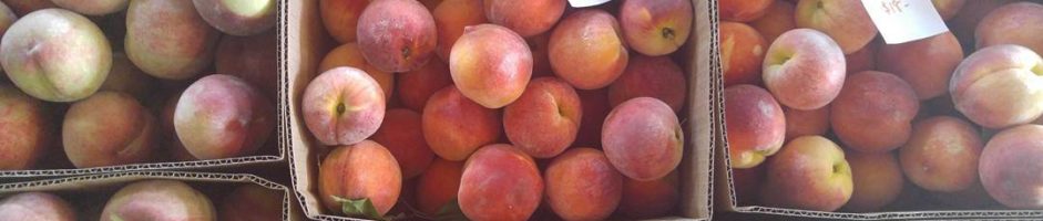 Peaches & Nectarines